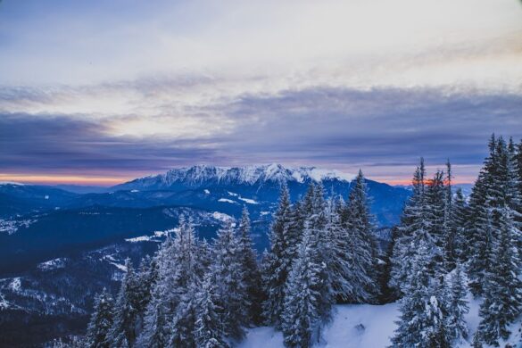 Post Varu Peak - SillySuitcase