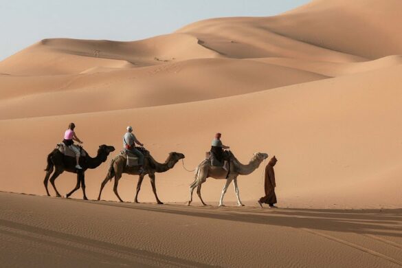 Premium Desert Safari Dubai - SillySuitcase