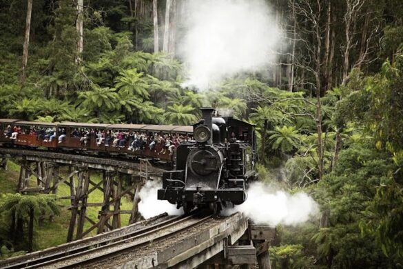 Puffing Billy Railway - SillySuitcase
