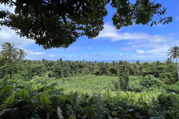 Pulemelei Ancient Mound - SillySuitcase