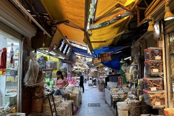 Qingping Chinese Medicinal Herbs Market - SillySuitcase