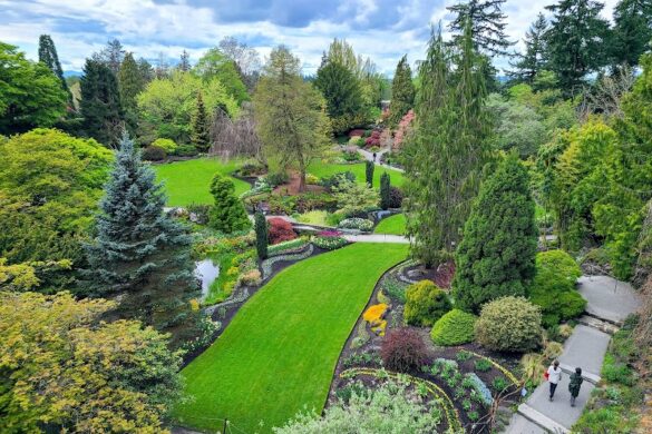 Queen Elizabeth Park - SillySuitcase