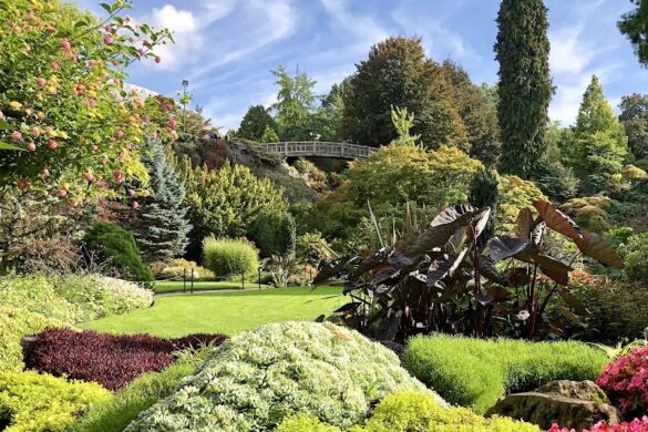 Queen Elizabeth Quarry Gardens - SillySuitcase