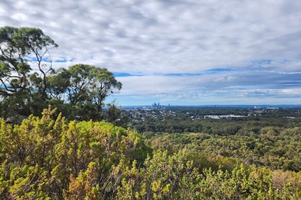 Reabold Hill Summit Lookout - SillySuitcase