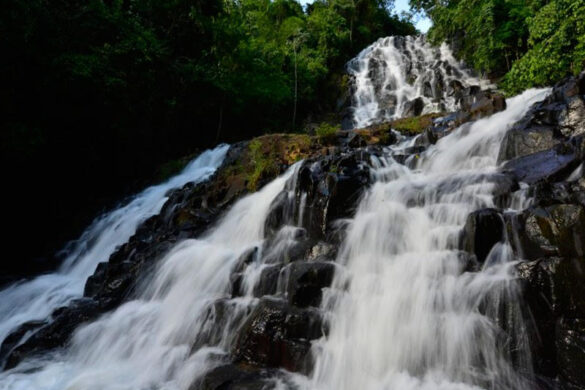 Reserva Natural Del Bosque Mbaracay - SillySuitcase