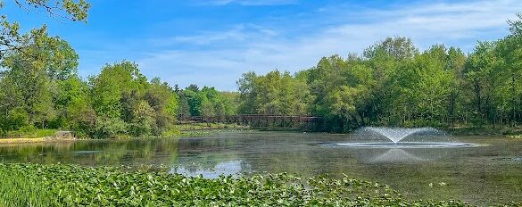 Rogers Lakewood Park - SillySuitcase