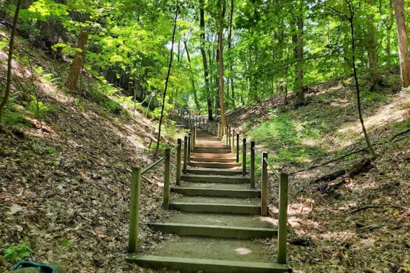 Rosy Mound Natural Area - SillySuitcase
