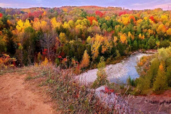 Rouge National Urban Park - SillySuitcase