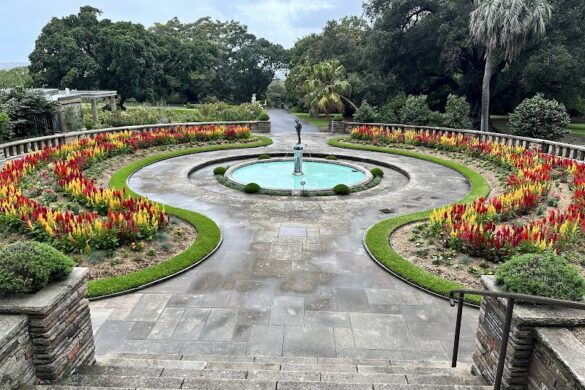Royal Botanic Garden Sydney - SillySuitcase