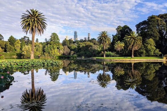 Royal Botanic Gardens Victoria Melbourne Gardens - SillySuitcase