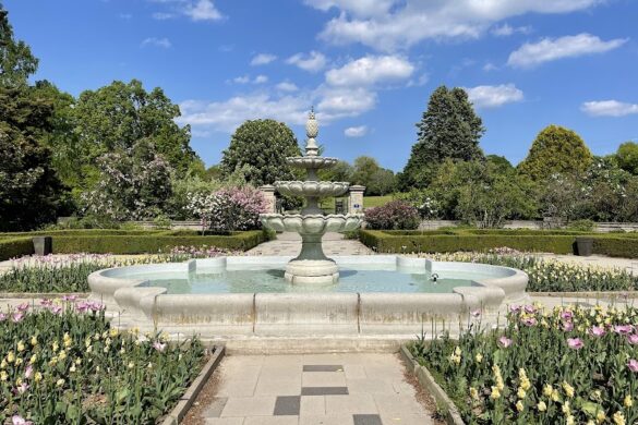 Royal Botanical Gardens - SillySuitcase
