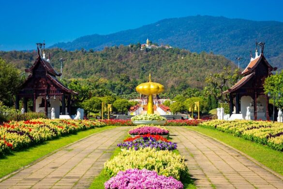 Royal Park Rajapruek - SillySuitcase