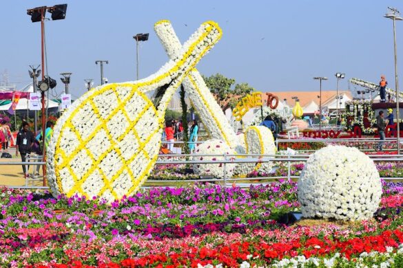 Sabarmati Riverfront Flower Park - SillySuitcase