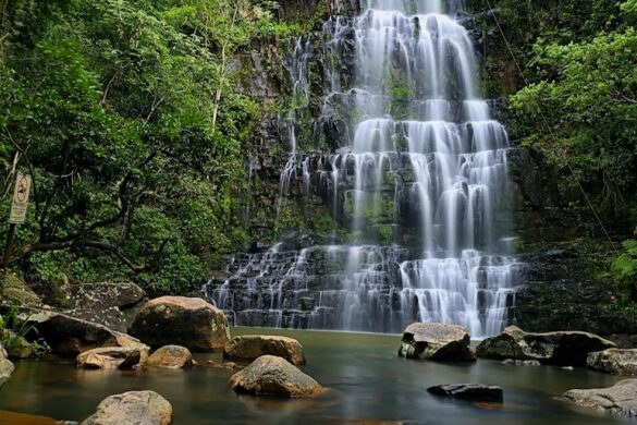 Salto Cristal - SillySuitcase