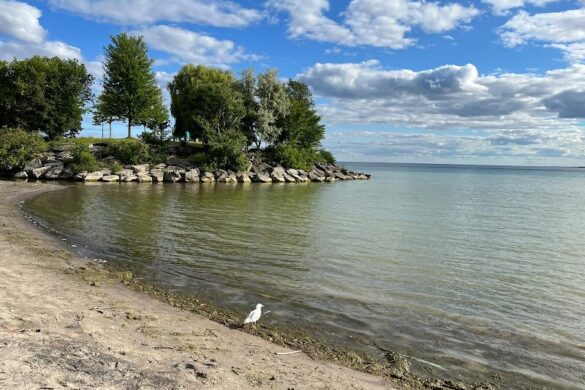 Scarborough Bluffs - SillySuitcase