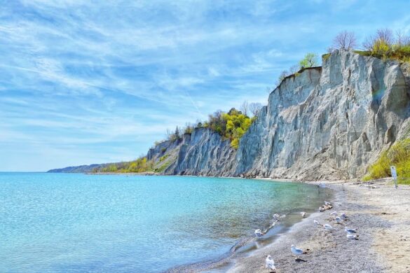 Scarborough Bluffs - SillySuitcase