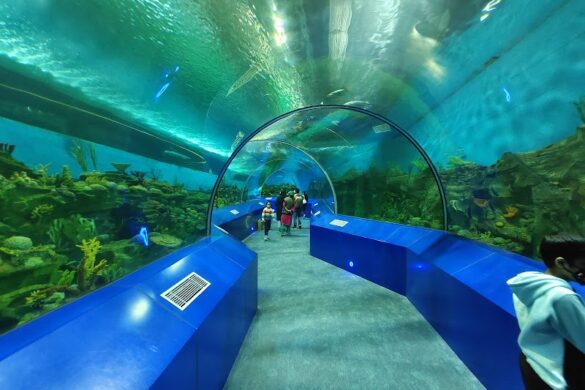 Science City Ahmedabad - SillySuitcase
