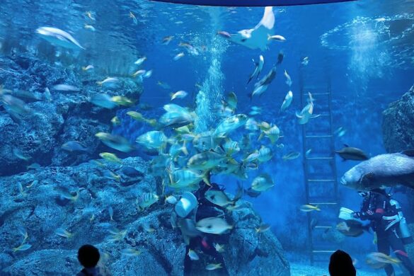 Sea Life Bangkok Ocean World - SillySuitcase