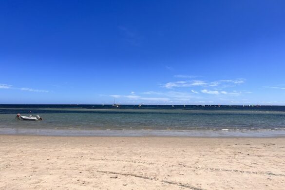 Seacliff Beach - SillySuitcase