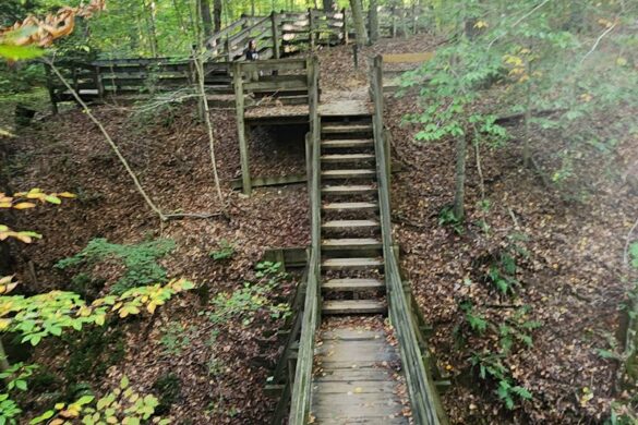 Shades State Park - SillySuitcase
