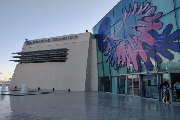 Sharjah Aquarium - SillySuitcase