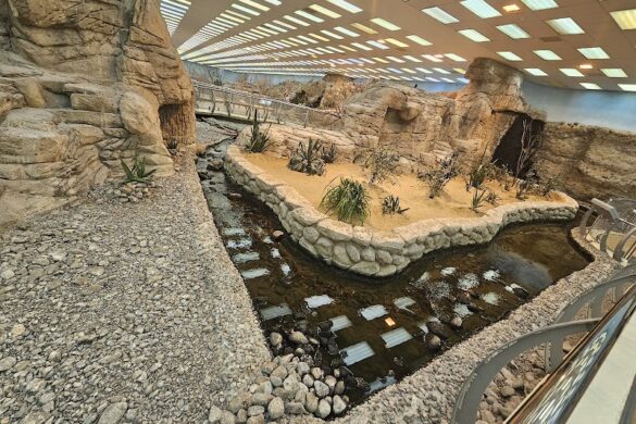 Sharjah Desert Park - SillySuitcase