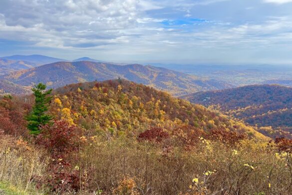 Shenandoah National Park - SillySuitcase