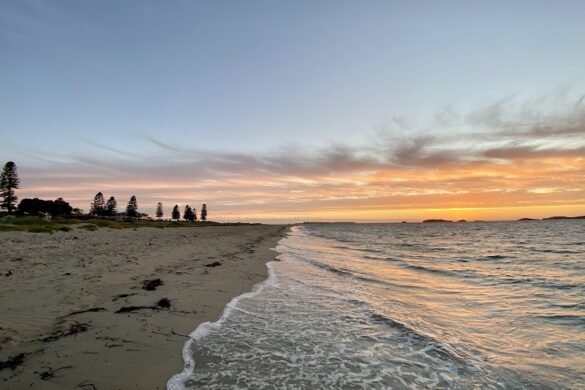Shoalwater Islands Marine Park - SillySuitcase
