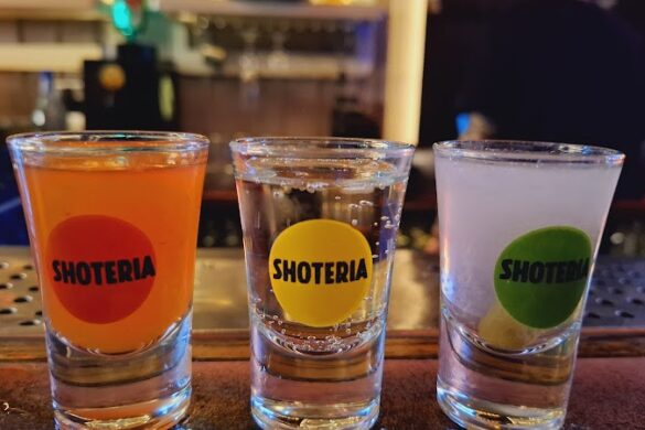 Shoteria - SillySuitcase