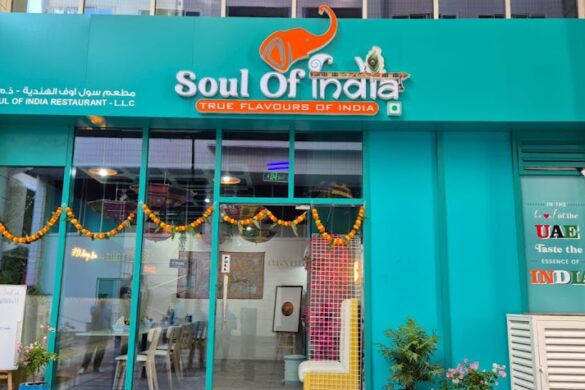 Soul Of India - SillySuitcase
