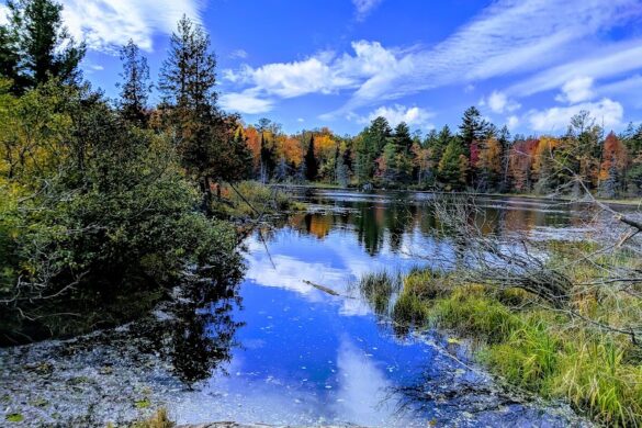 South March Highlands Conservation Forest - SillySuitcase