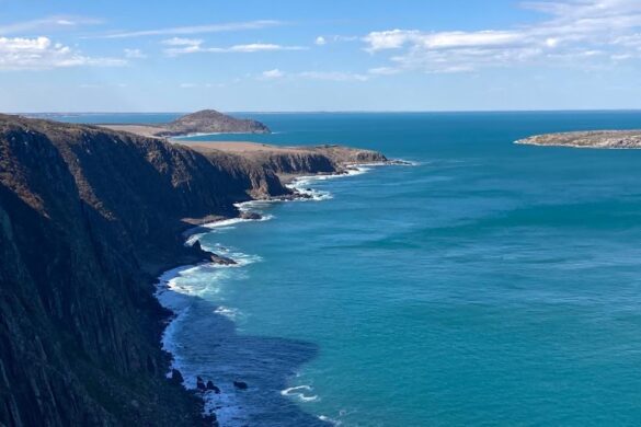 Southern Ocean Walk - SillySuitcase
