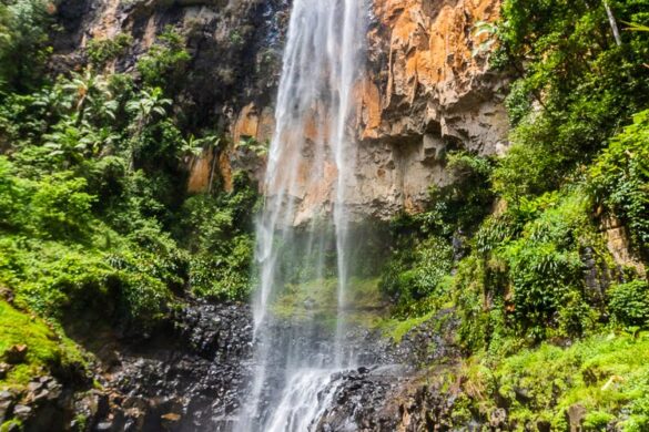 Springbrook National Park - SillySuitcase