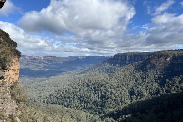 Sydney Adventure Tours - SillySuitcase