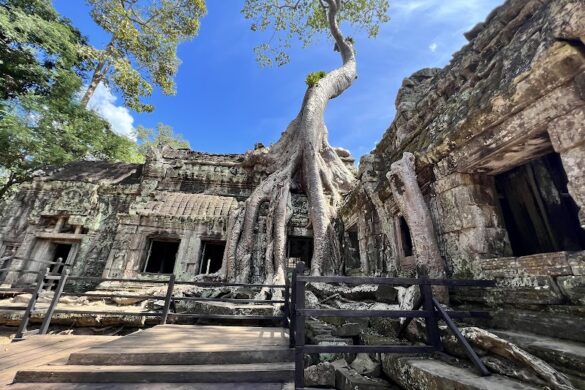 Ta Prohm Temple - SillySuitcase