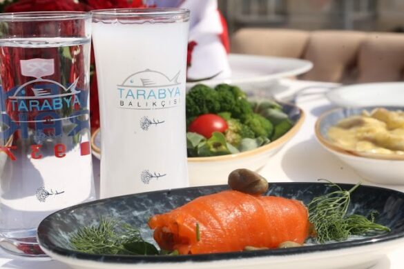 Tarabya Bal K - SillySuitcase