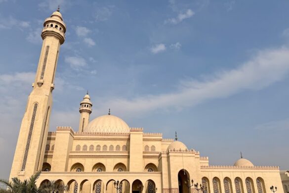 Tejwal Tourist Service - SillySuitcase