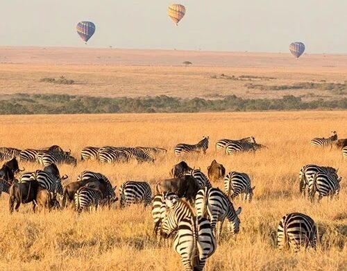 Tembea Discoveries Tours Travel - SillySuitcase