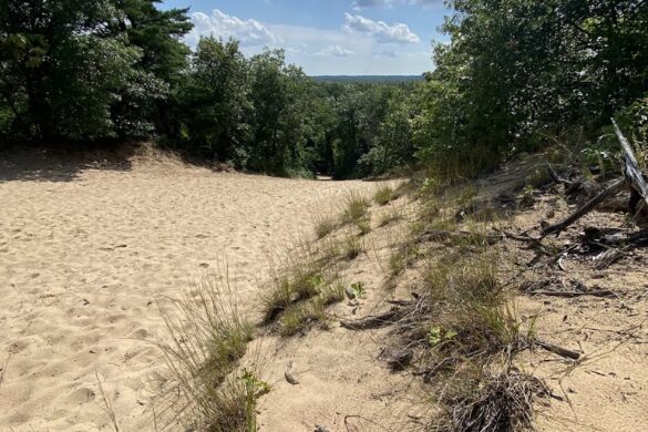 The 3 Dune Challenge - SillySuitcase