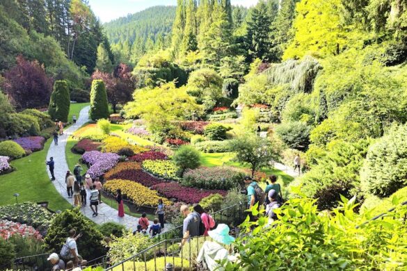 The Butchart Gardens - SillySuitcase