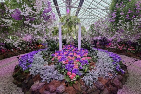 The Conservatory - SillySuitcase