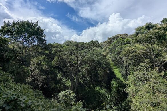 The Oloolua Nature Trail - SillySuitcase