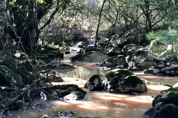 The Oloolua Nature Trail - SillySuitcase