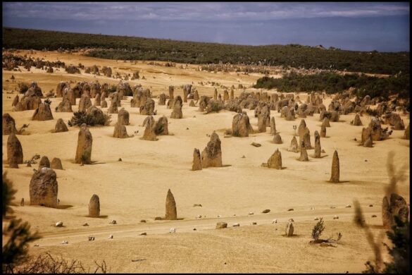 The Pinnacles Desert - SillySuitcase