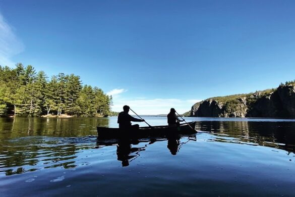 Toronto Ecoadventures - SillySuitcase