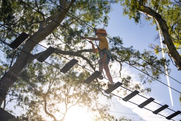 Treeclimb Adelaide - SillySuitcase