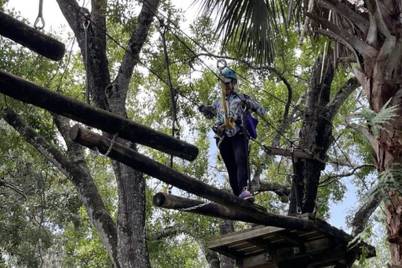 Treetop Trek Inside Brevard Zoo - SillySuitcase