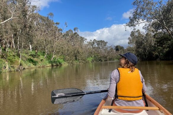 Up The Creek Melbourne - SillySuitcase