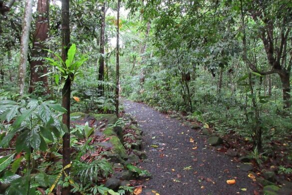 Vailima Botanical Garden - SillySuitcase