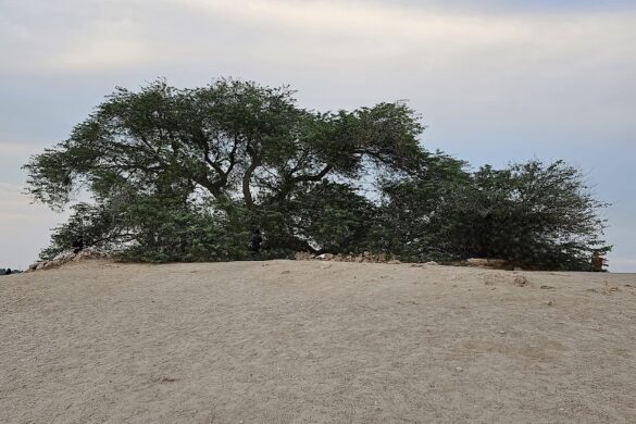 Visit Bahrain - SillySuitcase